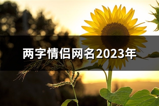 两字情侣网名2023年(优选274个)