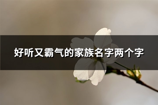 好听又霸气的家族名字两个字(494个)