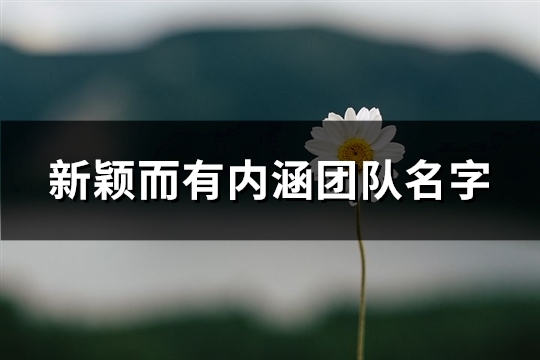 新颖而有内涵团队名字(共64个)