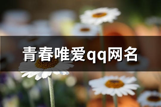 青春唯爱qq网名(优选138个)