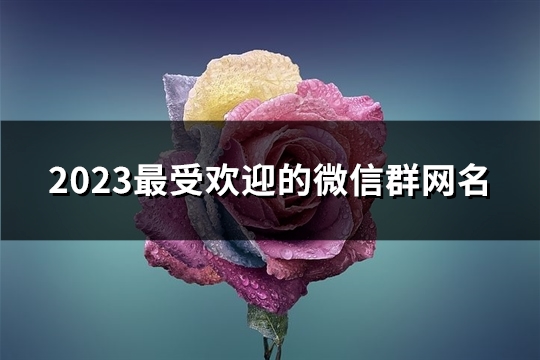 2023最受欢迎的微信群网名(优选319个)