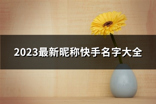 2023最新昵称快手名字大全(优选668个)