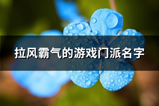 拉风霸气的游戏门派名字(442个)