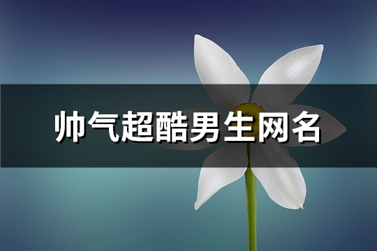 帅气超酷男生网名(优选269个)