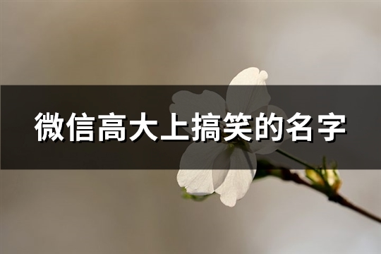 微信高大上搞笑的名字(共145个)