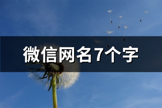 微信网名7个字(271个)