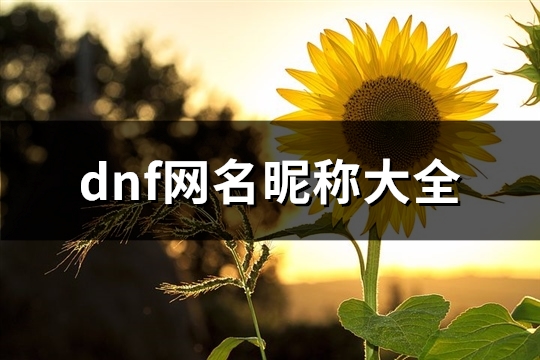 dnf网名昵称大全(优选582个)