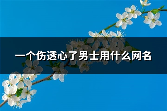 一个伤透心了男士用什么网名(145个)