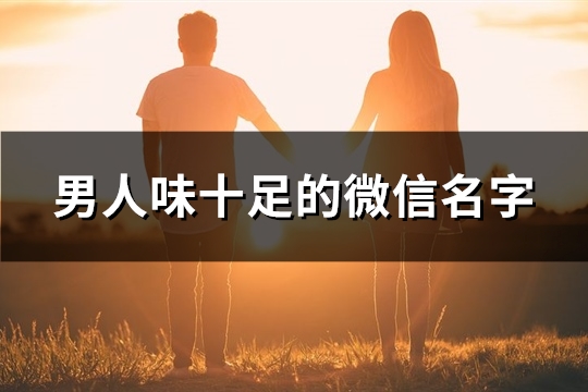 男人味十足的微信名字(共551个)