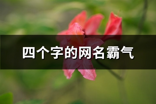 四个字的网名霸气(优选778个)