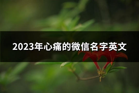 2023年心痛的微信名字英文(优选75个)