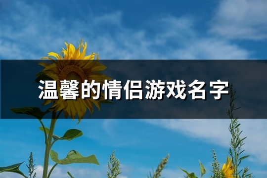 温馨的情侣游戏名字(96个)