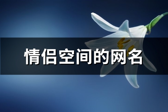 情侣空间的网名(精选127个)