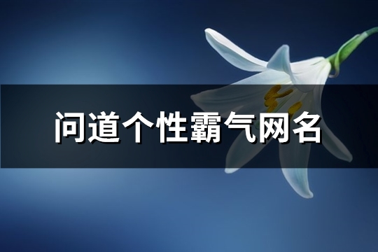 问道个性霸气网名(471个)