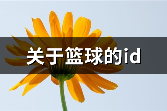 关于篮球的id(68个)