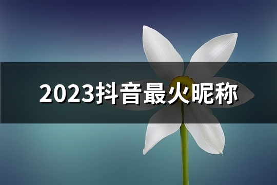 2023抖音最火昵称(共80个)