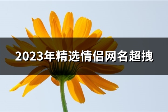 2023年精选情侣网名超拽(精选318个)