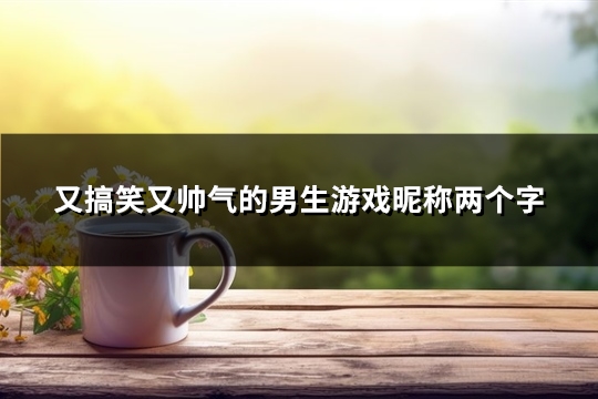 又搞笑又帅气的男生游戏昵称两个字(1285个)