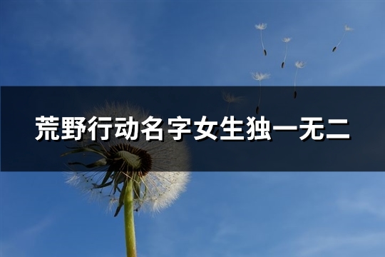 荒野行动名字女生独一无二(精选290个) 荒野行动名字女生独一无二(精选290个)