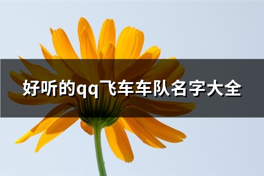 好听的qq飞车车队名字大全(优选234个)