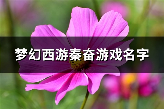 梦幻西游秦奋游戏名字(共294个)