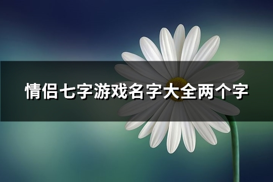 情侣七字游戏名字大全两个字(30个)