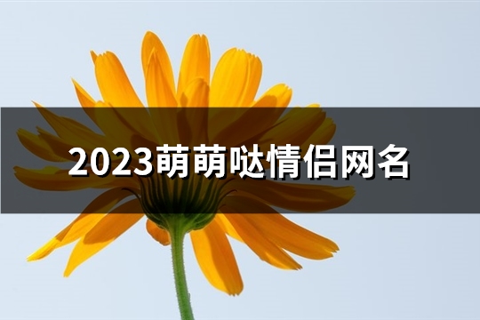2023萌萌哒情侣网名(317个)