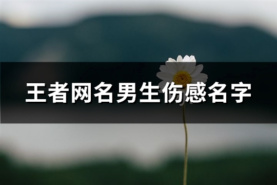 王者网名男生伤感名字(208个)