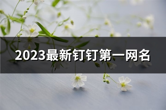 2023最新钉钉第一网名(优选253个)
