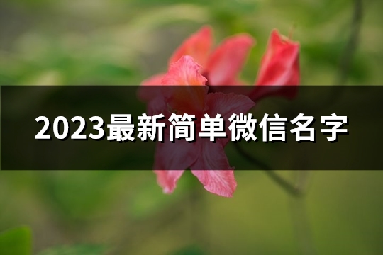 2023最新简单微信名字(精选2889个)