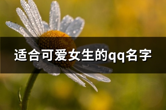 适合可爱女生的qq名字(269个)