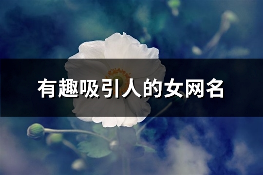 有趣吸引人的女网名(共532个)