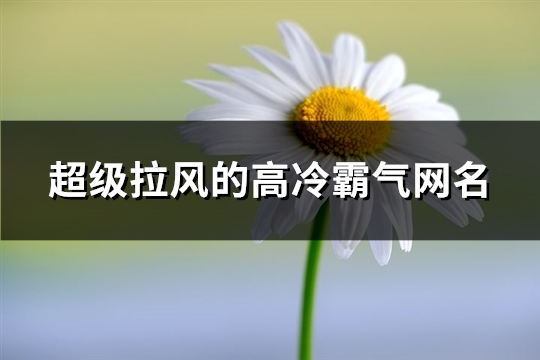 超级拉风的高冷霸气网名(620个)