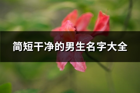 简短干净的男生名字大全(共190个)