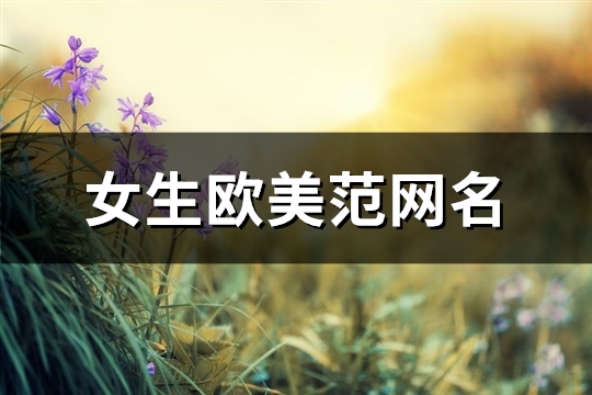 女生欧美范网名(共64个)