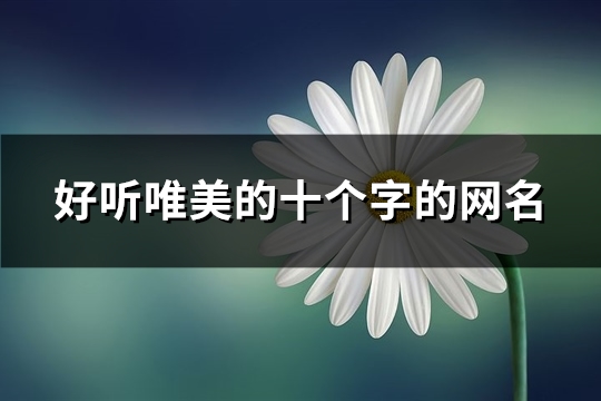 好听唯美的十个字的网名(优选377个)