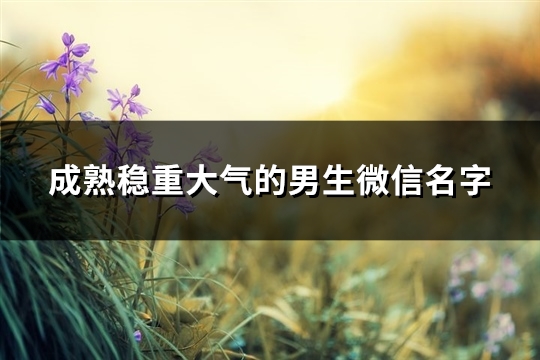 成熟稳重大气的男生微信名字(精选1648个)