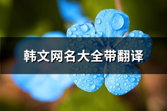 韩文网名大全带翻译(99个)
