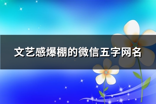 文艺感爆棚的微信五字网名(154个)