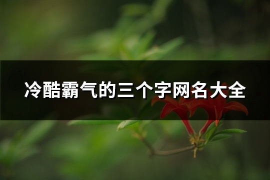 冷酷霸气的三个字网名大全(308个)