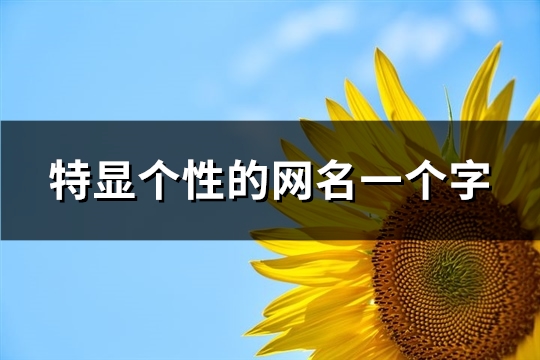 特显个性的网名一个字(精选595个)