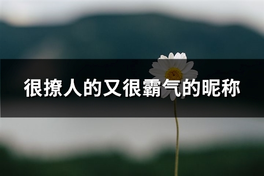 很撩人的又很霸气的昵称(优选279个)