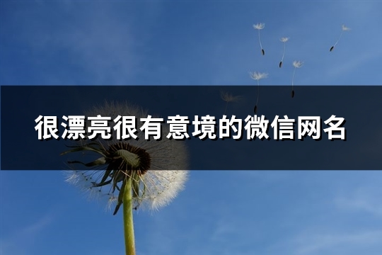 很漂亮很有意境的微信网名(共447个)