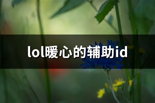 lol暖心的辅助id(优选73个)