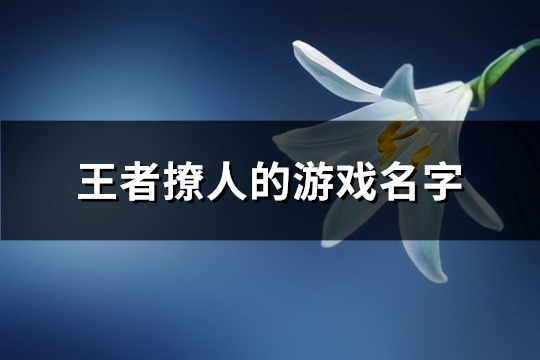 王者撩人的游戏名字(326个)