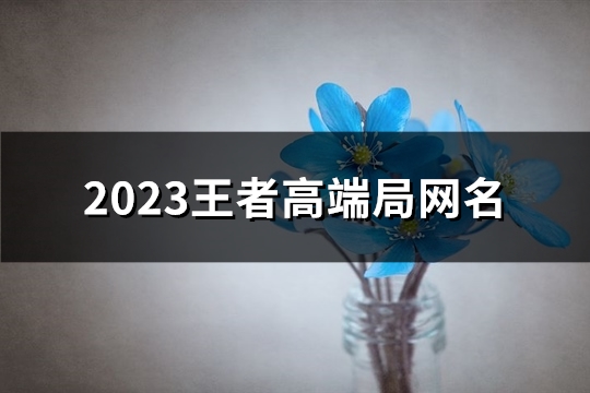 2023王者高端局网名(共445个)