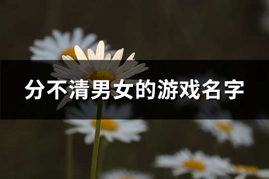 分不清男女的游戏名字(精选193个)