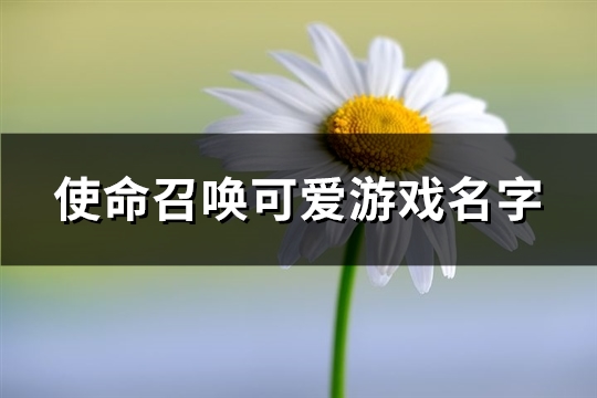 使命召唤可爱游戏名字(共474个)