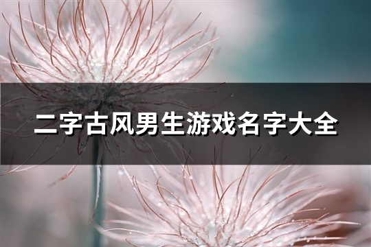 二字古风男生游戏名字大全(优选355个)