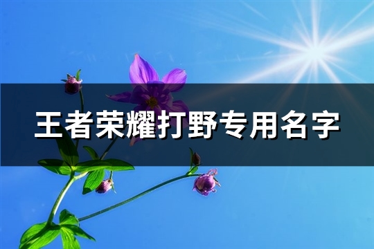 王者荣耀打野专用名字(精选175个)